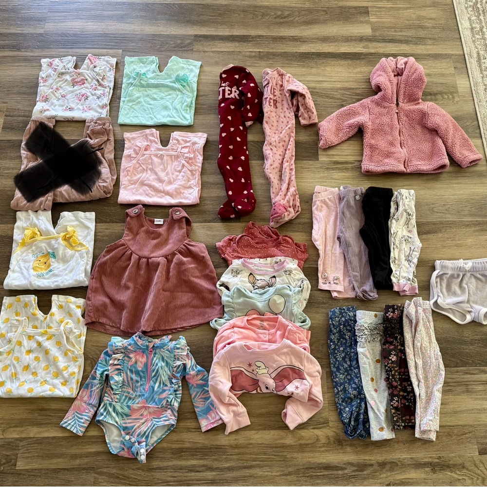 Baby girls clothing bundle